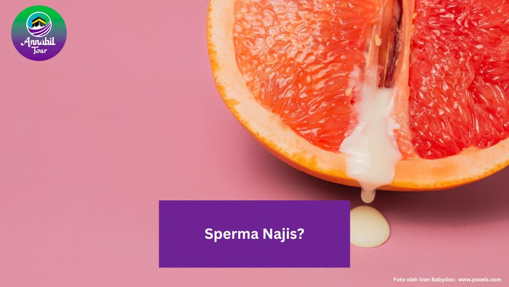 Sperma Najis untuk Sholat ? Berikut Penjelasannya